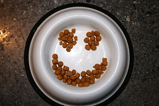 reine des croquettes opt