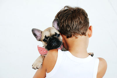 calins avec un bouledogue