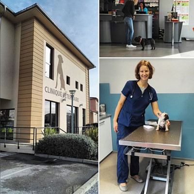 vaccination chez le veterinaire 