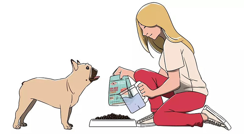 le moment du repas pour chien