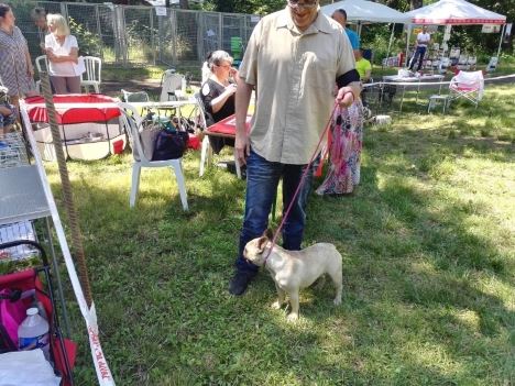 rencontres canine riviera